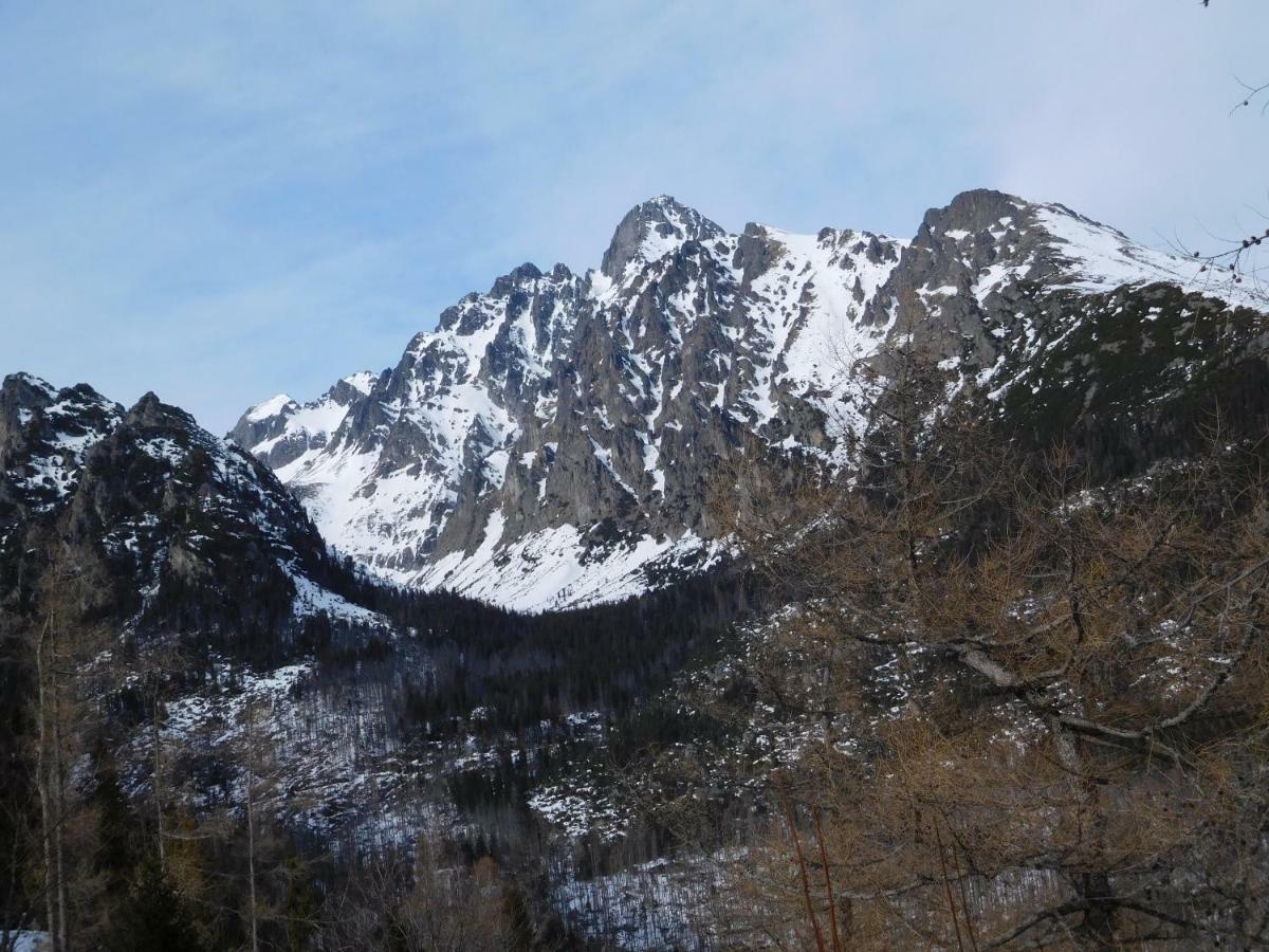 Apartament High Tatras - Patris 27 Tatrzańska Szczyrba Zewnętrze zdjęcie