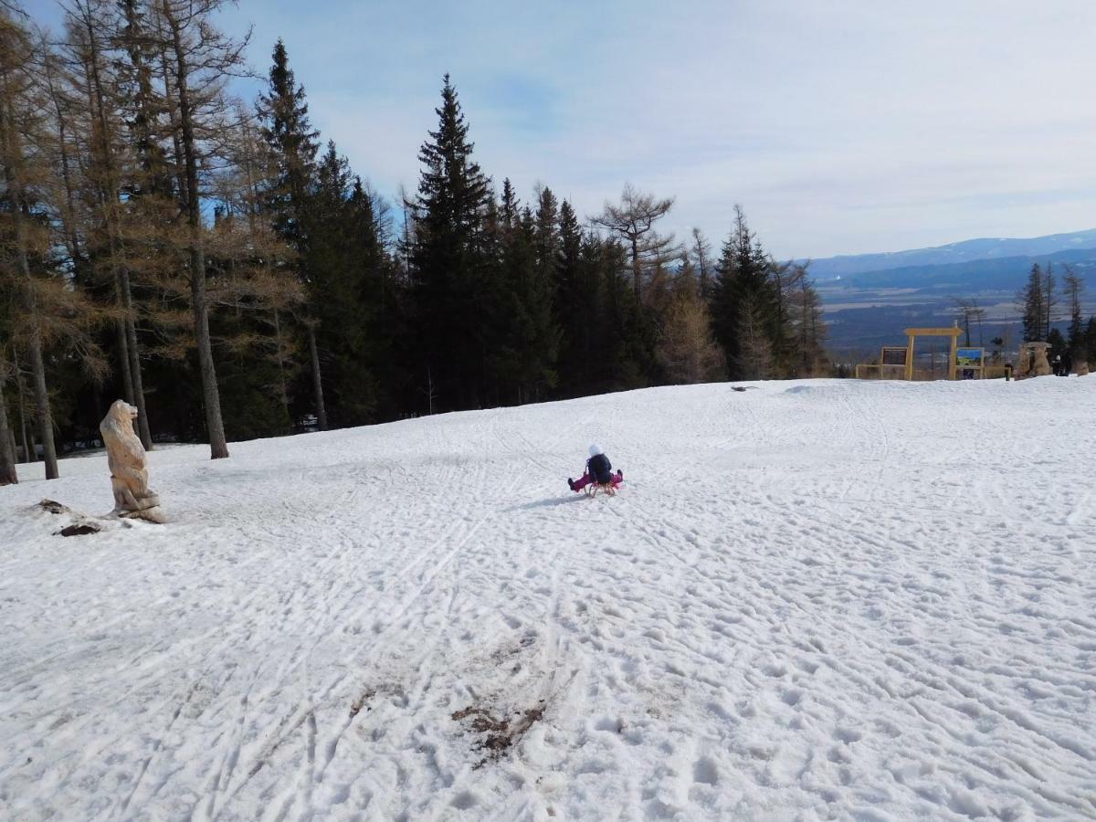 Apartament High Tatras - Patris 27 Tatrzańska Szczyrba Zewnętrze zdjęcie
