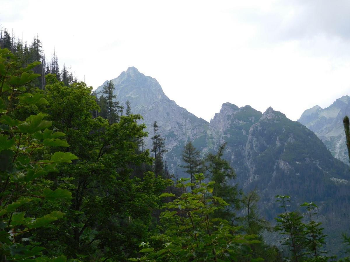 Apartament High Tatras - Patris 27 Tatrzańska Szczyrba Zewnętrze zdjęcie